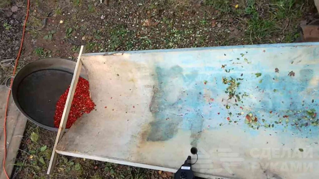 Быстрый способ очистки ягод от листьев и мелкого мусора Быстрый способ очистки ягод от листьев и мелкого мусора