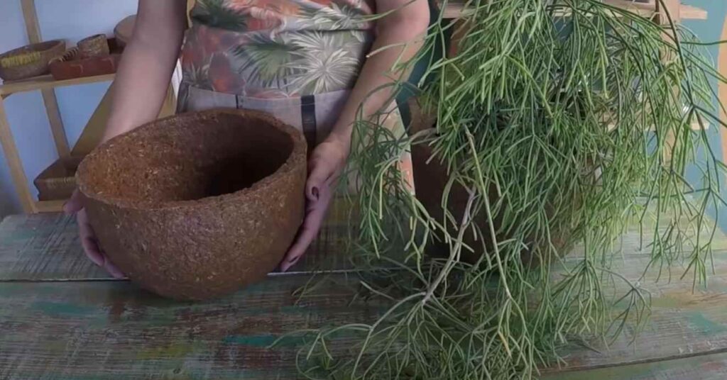 23 классных идеи как сделать цветочный горшок 23 классных идеи как сделать цветочный горшок