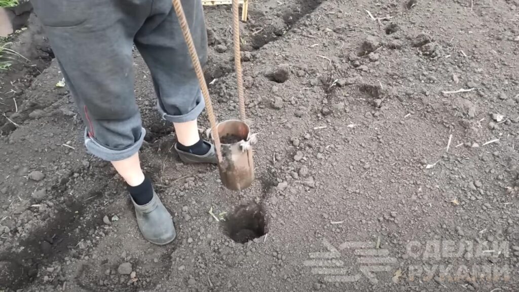 Как посадить картошку без лопаты. Делаем самодельное приспособление для посадки картофеля Как посадить картошку без лопаты. Делаем самодельное приспособление для посадки картофеля