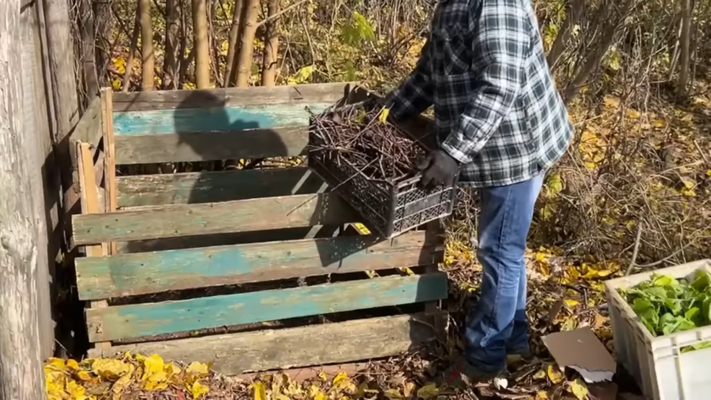 Картон на грядках - настоящий тренд!